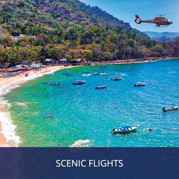 Scenic Flights Helicopter Tours