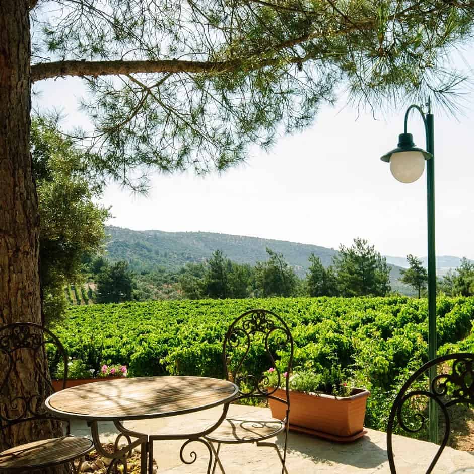 Mor Salkım Winery Mor Salkım Winery